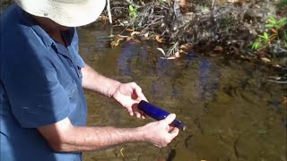 Maytown detecting in Mun Gin Creek Camping Palmer amp Mitchell River [upl. by Dnaletak]