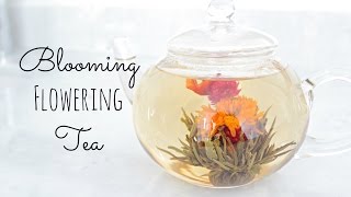 Blooming Tea Timelapse  Mothers Day Gift Idea  Mini Giveaway [upl. by Alema]