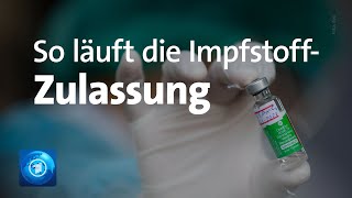 CoronaImpfstoffe So funktioniert die Zulassung in der EU [upl. by Letsirhc]