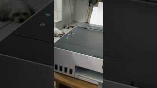 hp hpprinter shorts pogotv smartinktank 210 [upl. by Ennaimaj880]