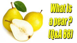 What is a pear QampA 88 [upl. by Ilera]