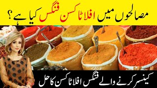 AFLATOXIN FUNGUS  Do Not Eat Spices Again Until You Watch This [upl. by Rosenblatt]