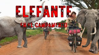 ELEFANTE EN EL CAMPAMENTO  Uganda  África19  Vuelta al Mundo en Bici  SUBT CC [upl. by Johny]