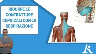 Come ridurre le contratture muscolari cervicali con la respirazione [upl. by Ellissa]