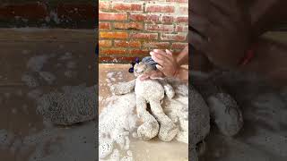 Abandoned Clean Doll ASMR Transforming the abandoned Dog in trash to be clean and beautiful relax [upl. by Anwadal275]