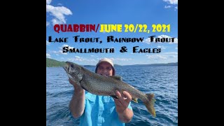 QuabbinLake Trout Rainbow Trout Smallmouth amp Eagles June 2022 2021 [upl. by Diley3]