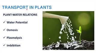 Part 2 Transportation in plants Plant water relation  osmosis  imbibition  plasmolysis [upl. by Ibrahim]