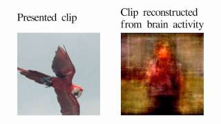 Movie reconstruction from human brain activity [upl. by Ecidna98]