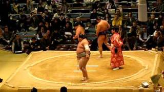 Sumo Wrestling in Osaka March 15 2009 [upl. by Atinahs]