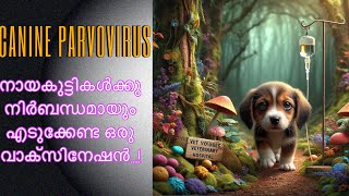 Canine parvovirus നായകുട്ടികൾക്കു എന്തായാലും കൊടുക്കേണ്ട വാക്‌സിൻ [upl. by Cornel]