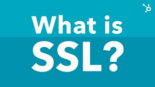 What Is SSL Explained [upl. by Idet]