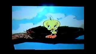 Cute Tweety Song [upl. by Dinah]