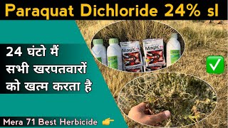 Syngenta Gramoxone Herbicide। Paraquat Dichloride 24SL के बारे में पूरी जानकारी इस वीडियो में। [upl. by Alejo]