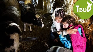 Höhlenangst Folge 25  Tiere bis unters Dach  SWR Plus [upl. by Airym]