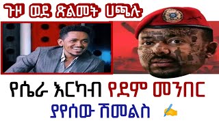 ጉዞ ወደ ሞት ጽልመት ሀጫሉ ሁንዴሳ  የሴራ እርካብ የደም መንበር  ጋዜጠኛ ያየሰው ሽመልስ ethioforumኢትዮፎረም a book narration tale [upl. by Namilus311]