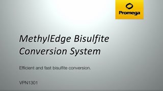 MethylEdge Bisulfite Conversion System Video [upl. by Ical106]