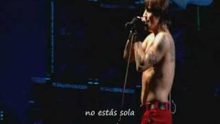 Dont Forget Me  Red Hot Chili Peppers sub al español [upl. by Mara]