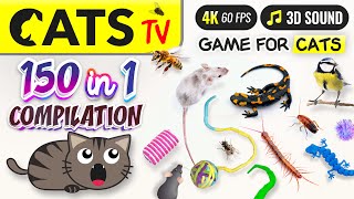 CAT TV  150 in 1 Ultimate Compilation 🙀🐭🐝 Game for cats 🕚 10 HOURS 4K [upl. by Kamerman172]