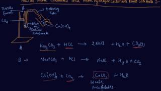 Metals Carbonates and Metal Hydrogen Carbonates Reacts with Acid  Class 10 Acids Bases and Salts [upl. by Lena]