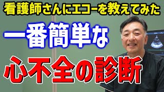 【看護師さんと学ぶエコー検査】一番簡単な心不全の診断：下大静脈と肺エコーで心不全を診よう！ 心不全のPOCUS，心エコー，肺エコー，下大静脈エコー [upl. by Yensehc468]