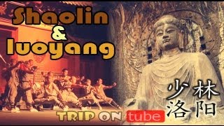 Trip on tube  China trip  中国  Episode 5  Luoyang amp Shaolin temple  洛阳amp少林寺 ） HD [upl. by Asirac]