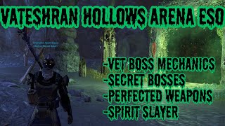 Vateshran Hollows Arena ESO [upl. by Enyaz236]