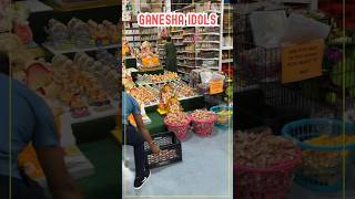 Indian Store in New Jersey shorts viralshorts indianfamilyinusa indianstore biggbosstelugu [upl. by Terti]