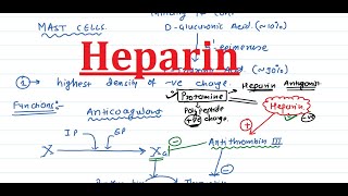 26 Heparin In Heteropolysaccharide context [upl. by Pietro]