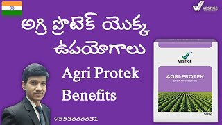 Agri Protek Benefits in Telugu అగ్రి ప్రొటెక్ యొక్క ఉపయోగాలు Vestige Agri Protek Benefits Telugu [upl. by Pump]