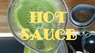 How to Make Hot Sauce with Serranos or Jalapeños [upl. by Hurty337]