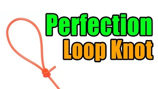 Perfection Loop Knot  Strong Easy Leader To Line Loop Knot  Best Fishing Knots [upl. by Goodden152]