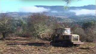 Williams Land Improvement Brush ClearingCutting in Lane and Douglas County [upl. by Iruy205]