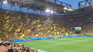 BVB vs PSG Champions League Semifinal 2024 entrance of the players Beste Fans der Welt [upl. by Walburga]