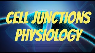 Cell junctions physiology simple detailed diagrams prepare for exams [upl. by Llednek]