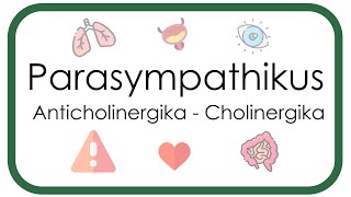 Parasympathikus – Pharmakologie Anticholinergika Atropin Scopolamin  Cholinergika Neostigmin [upl. by Mccready909]