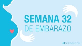 Semana 32 de embarazo  32 semanas de embarazo  El embarazo semana a semana [upl. by Luann441]