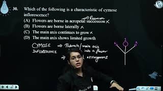 Which of the following is a characteristic of cymose inflorescence [upl. by Airom]