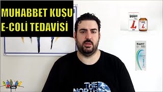 ECOLİ Escherichia Coli BAKTERİSİ VE TEDAVİSİ ll MUHABBET KUŞU ll KURUMA İLE KARIŞTIRMAYIN [upl. by Moscow]