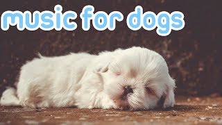 15 HOURS of Deep Sleep Relaxing Dog Music NEW Helped 10 Million Dogs [upl. by Nodnol]