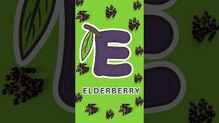 E is for Elderberry  Fun Fruit Song for Kidsquot  elderberry fruitsong abcfruits kidslearning [upl. by Aihsem]