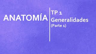 Anatomía  TP 1  Generalidades Parte 1 [upl. by Hannus]