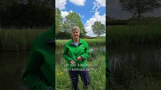 Klimaatbuffer IJsselmonde waterkwaliteit waternatuurlijk [upl. by Kovacev]