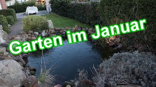 Gartentipps amp Gartenarbeit im Monat Januar – Der Garten im Januar Quicktipp [upl. by Nahtnamas438]