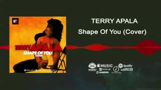 Terry Apala  Shape Of You Cover Official Audio [upl. by Ensign124]