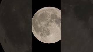 Nikon Coolpix p1000 Moon Zoom [upl. by Waldack344]