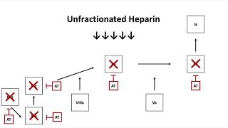 Unfractionated Heparin [upl. by Eunice842]