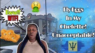 My Chefette HAD IN FLY EGGS My Day DID NOT go as planned Worst Day Ever  So Much More  Vlog [upl. by Eijneb]