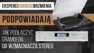 Jak podłączyć gramofon do wzmacniacza stereo  Poradnik [upl. by Ecinaj]