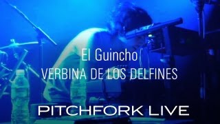 El Guincho  Verbina De Los Delfines  Pitchfork Live [upl. by Strauss281]