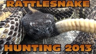 Pennsylvania Rattlesnake Hunting 2013 2 [upl. by Nadda]